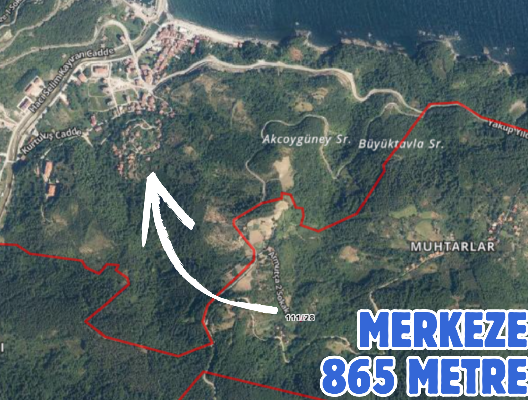 KASTAMONU DOĞANYURT HOCA 96 M² TARLAMIZ SATILIKTIR - KASTAMONU DOĞANYURT fotoğraf 2